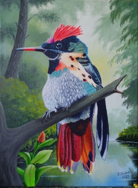 Koliber