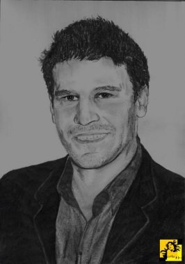 Boreanaz?