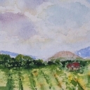 Winnica
